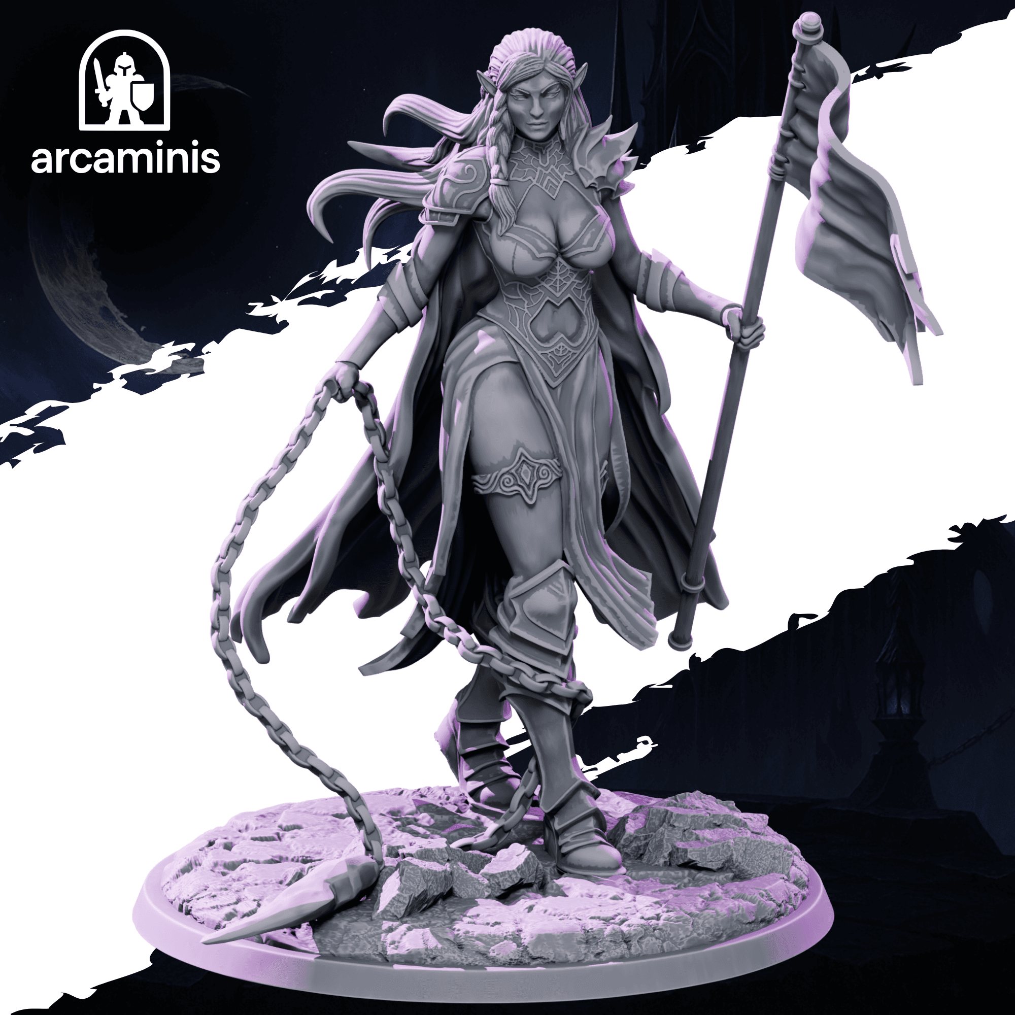 Dark Elf Standard Bearer 