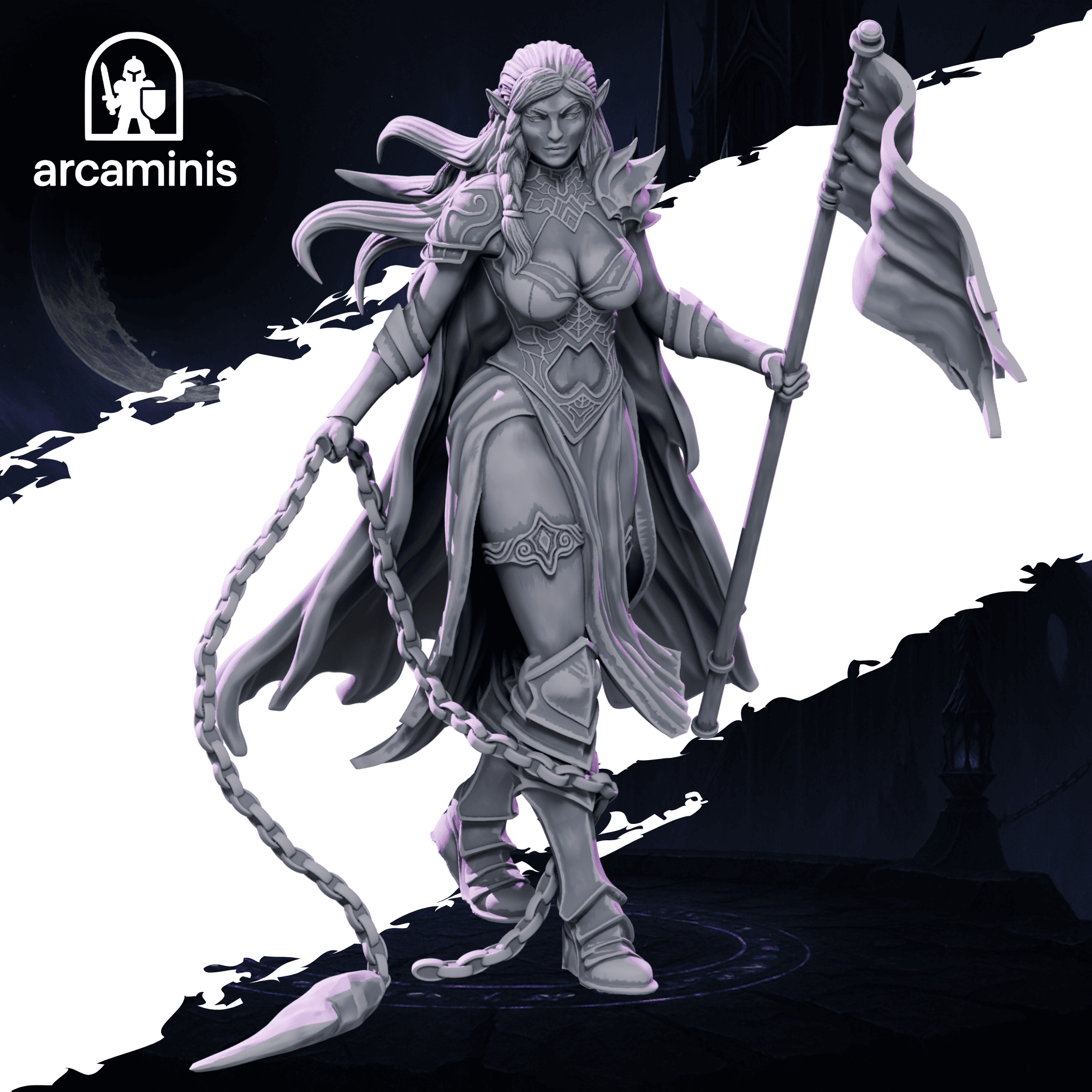 Dark Elf Standard Bearer  #2