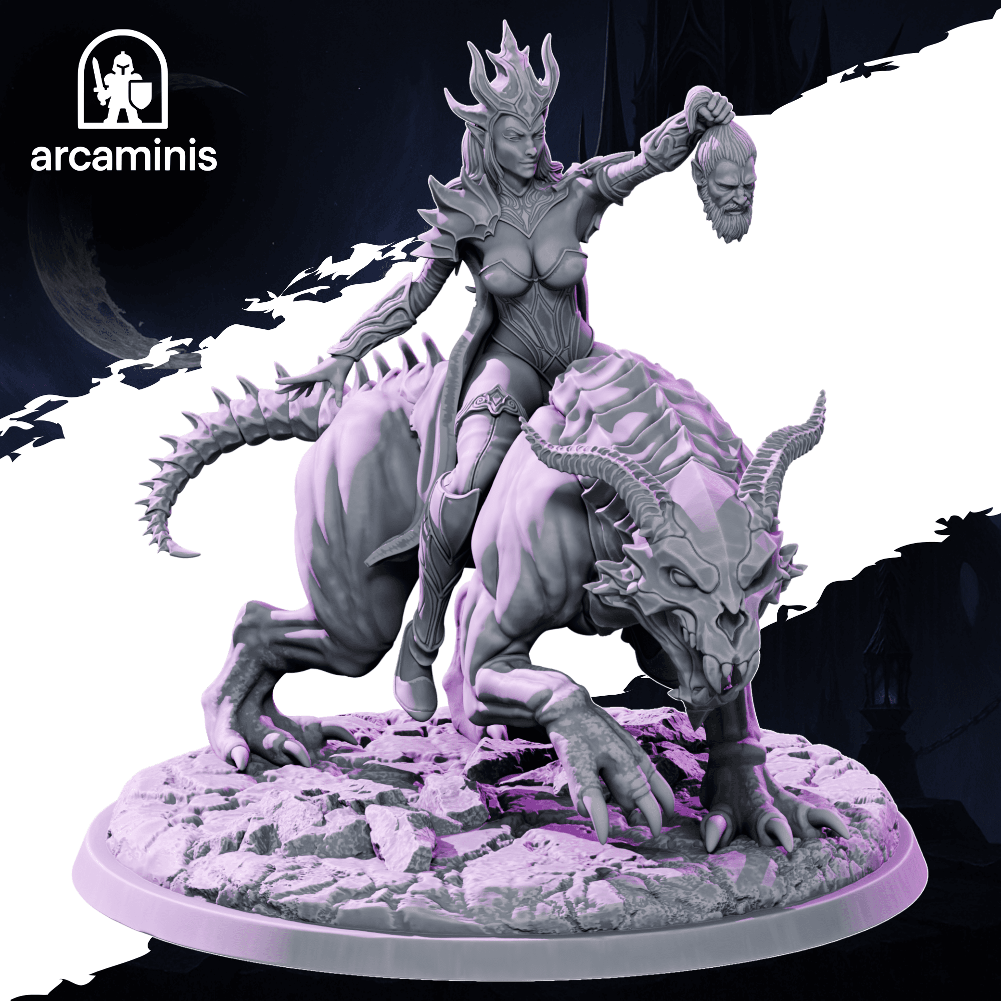 Dark Elf Huntress Beast Rider 